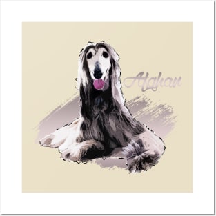 Afghan Hound Posters and Art